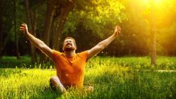 Pointers to See Life on the Bright Side