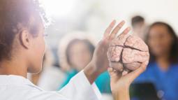 7 Brain-Damaging Habits to Avoid