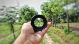 The Importance of Focusing on the Near Future