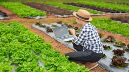 The Concept of Agricultural Engineering: Its Importance and Specialties