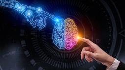 What Type of Intelligence Do You Have? Which Career is Best for You?
